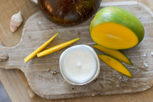 Load image into Gallery viewer, Staycation Soy Candle ReCoopMN